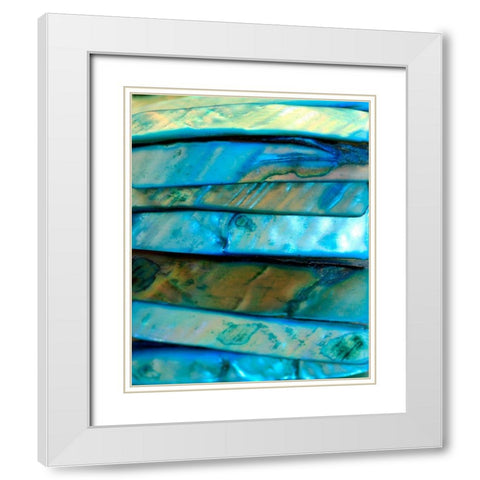 Shell Be Blue I White Modern Wood Framed Art Print with Double Matting by Putman, Tammy