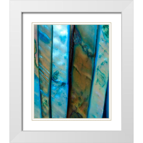 Shell Be Blue II White Modern Wood Framed Art Print with Double Matting by Putman, Tammy
