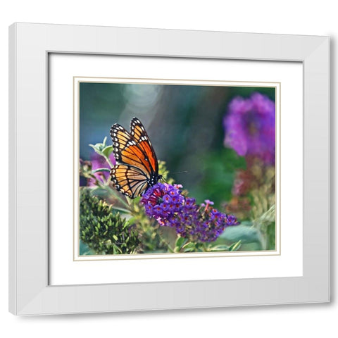 Monarch Garden II White Modern Wood Framed Art Print with Double Matting by Putman, Tammy