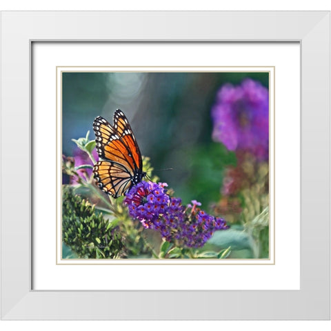 Monarch Garden II White Modern Wood Framed Art Print with Double Matting by Putman, Tammy