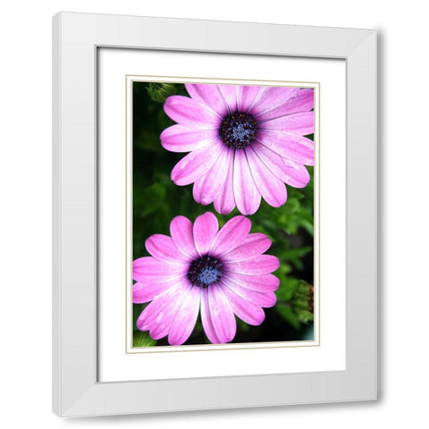 In the Middle White Modern Wood Framed Art Print with Double Matting by Putman, Tammy