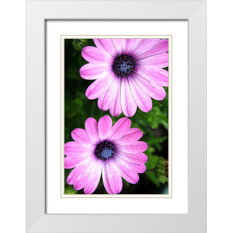 In the Middle White Modern Wood Framed Art Print with Double Matting by Putman, Tammy
