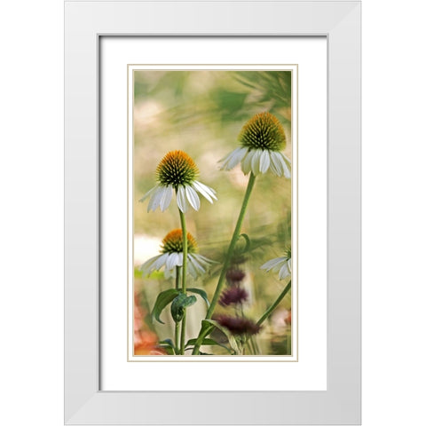 White Cones II White Modern Wood Framed Art Print with Double Matting by Putman, Tammy