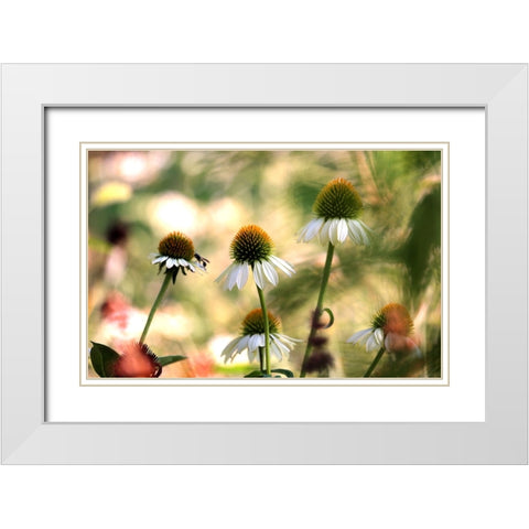 White Cones III White Modern Wood Framed Art Print with Double Matting by Putman, Tammy