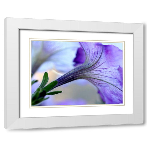 Purple Light White Modern Wood Framed Art Print with Double Matting by Putman, Tammy