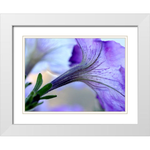 Purple Light White Modern Wood Framed Art Print with Double Matting by Putman, Tammy