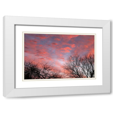 Dusk Silhouette III White Modern Wood Framed Art Print with Double Matting by Putman, Tammy
