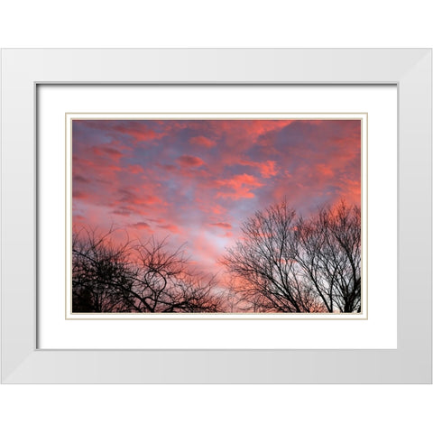Dusk Silhouette III White Modern Wood Framed Art Print with Double Matting by Putman, Tammy