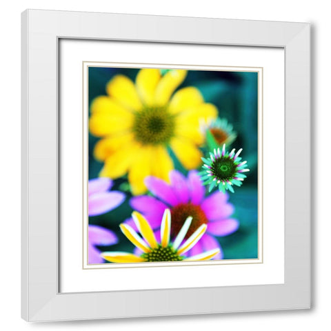 Colorful Bouquet I White Modern Wood Framed Art Print with Double Matting by Putman, Tammy
