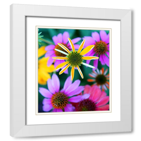 Colorful Bouquet II White Modern Wood Framed Art Print with Double Matting by Putman, Tammy