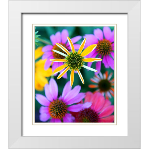 Colorful Bouquet II White Modern Wood Framed Art Print with Double Matting by Putman, Tammy