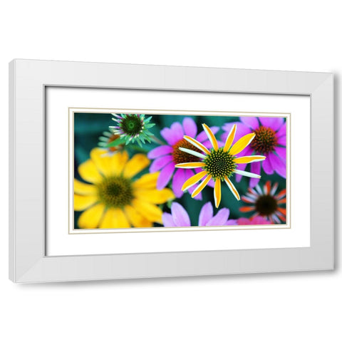 Colorful Bouquet III White Modern Wood Framed Art Print with Double Matting by Putman, Tammy
