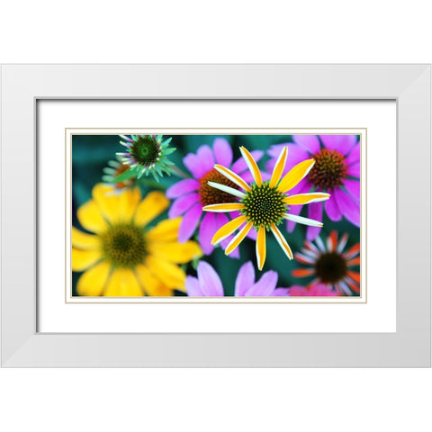 Colorful Bouquet III White Modern Wood Framed Art Print with Double Matting by Putman, Tammy