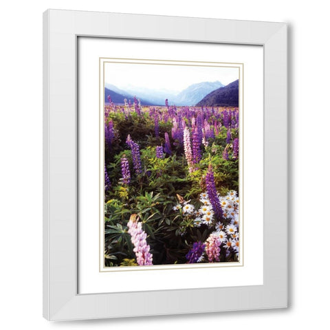 Russell Lupin I White Modern Wood Framed Art Print with Double Matting by Stefko, Bob