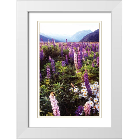 Russell Lupin I White Modern Wood Framed Art Print with Double Matting by Stefko, Bob