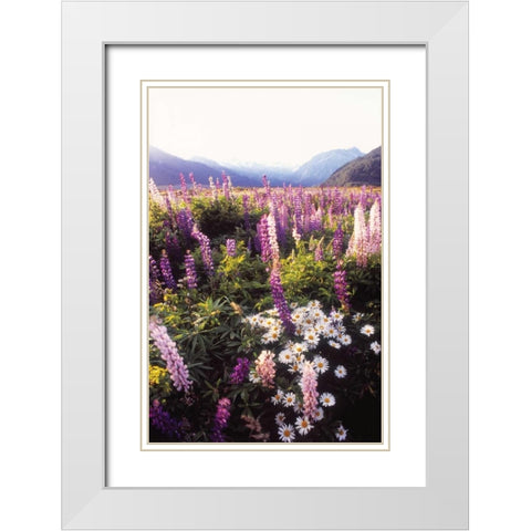 Russell Lupin II White Modern Wood Framed Art Print with Double Matting by Stefko, Bob
