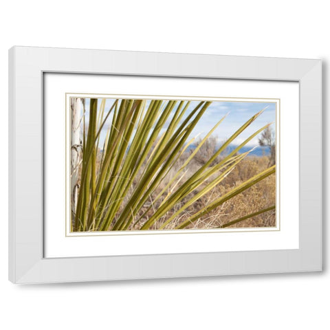 Century Plant II White Modern Wood Framed Art Print with Double Matting by Styber, Dana