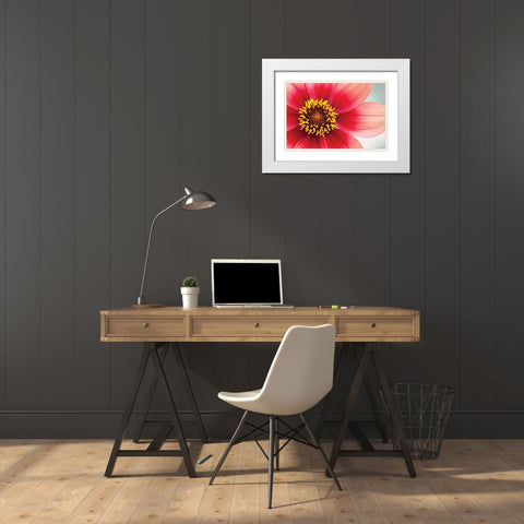 Starburst IV White Modern Wood Framed Art Print with Double Matting by Styber, Dana