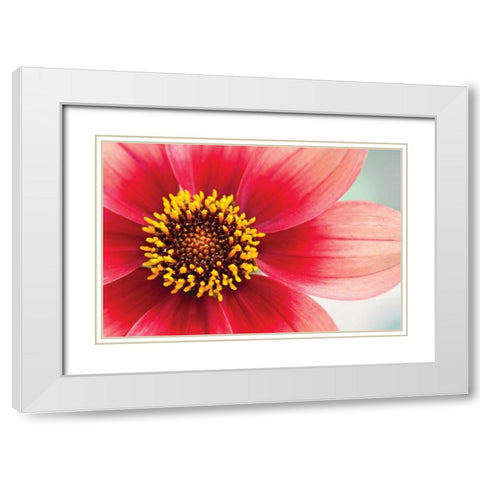 Starburst IV White Modern Wood Framed Art Print with Double Matting by Styber, Dana