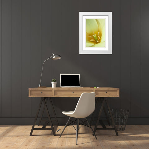 Yellow Burst I White Modern Wood Framed Art Print with Double Matting by Styber, Dana