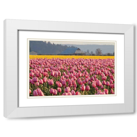 In the Pink White Modern Wood Framed Art Print with Double Matting by Styber, Dana