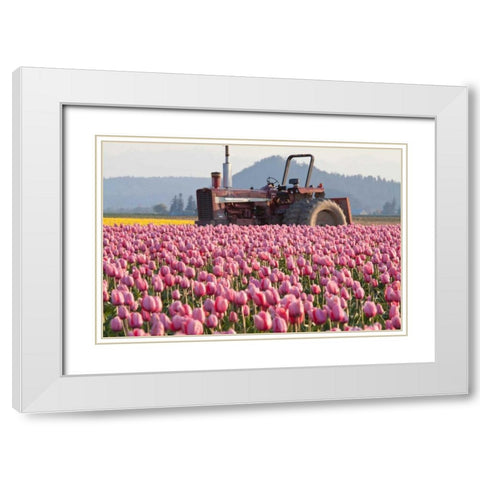 Tractor and Tulips II White Modern Wood Framed Art Print with Double Matting by Styber, Dana