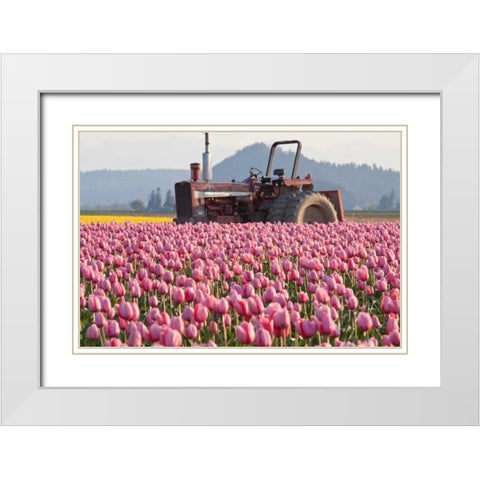Tractor and Tulips II White Modern Wood Framed Art Print with Double Matting by Styber, Dana