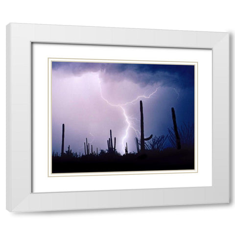 Electric Desert II White Modern Wood Framed Art Print with Double Matting by Taylor, Douglas