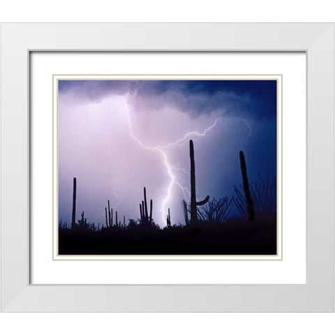 Electric Desert II White Modern Wood Framed Art Print with Double Matting by Taylor, Douglas