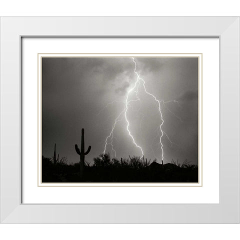 Electric Desert I - BW White Modern Wood Framed Art Print with Double Matting by Taylor, Douglas