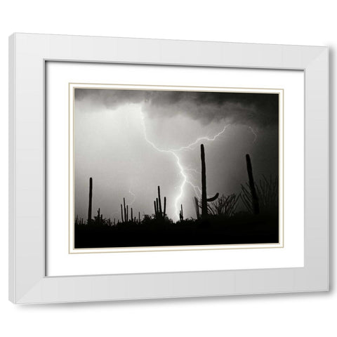 Electric Desert II - BW White Modern Wood Framed Art Print with Double Matting by Taylor, Douglas
