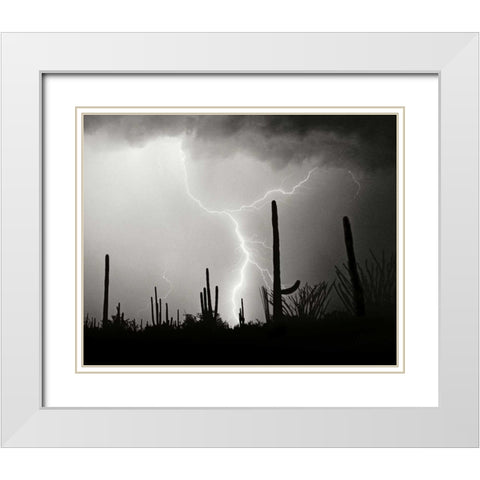 Electric Desert II - BW White Modern Wood Framed Art Print with Double Matting by Taylor, Douglas