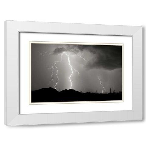 Striking Symmetry II - BW White Modern Wood Framed Art Print with Double Matting by Taylor, Douglas
