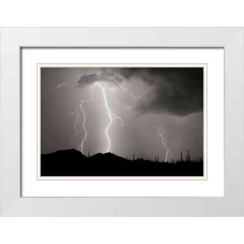 Striking Symmetry II - BW White Modern Wood Framed Art Print with Double Matting by Taylor, Douglas