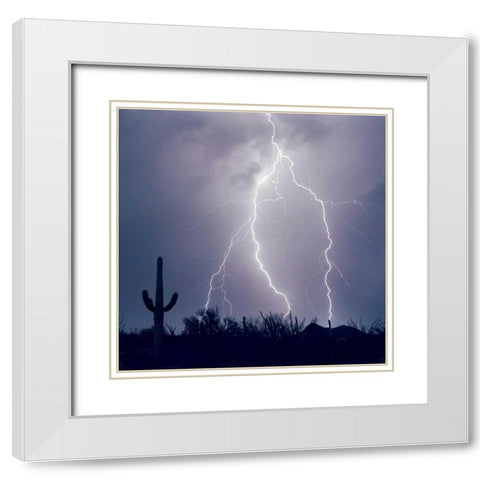 Electric Desert III White Modern Wood Framed Art Print with Double Matting by Taylor, Douglas