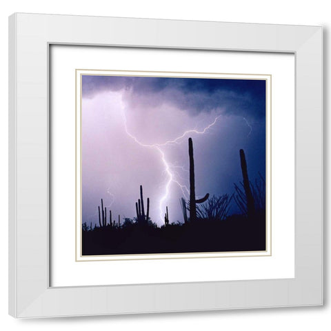 Electric Desert IV White Modern Wood Framed Art Print with Double Matting by Taylor, Douglas
