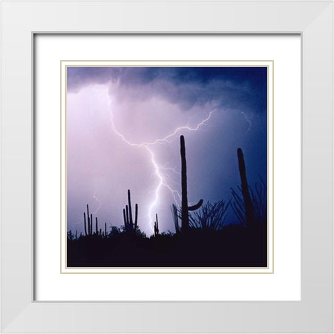 Electric Desert IV White Modern Wood Framed Art Print with Double Matting by Taylor, Douglas