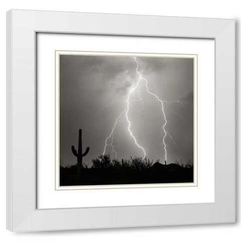 Electric Desert III - BW White Modern Wood Framed Art Print with Double Matting by Taylor, Douglas