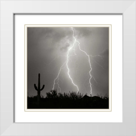 Electric Desert III - BW White Modern Wood Framed Art Print with Double Matting by Taylor, Douglas