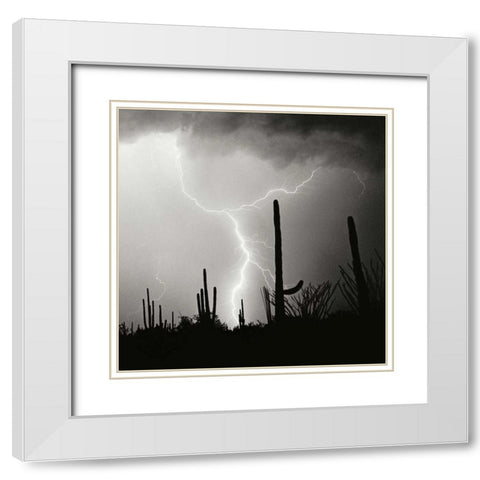 Electric Desert IV - BW White Modern Wood Framed Art Print with Double Matting by Taylor, Douglas