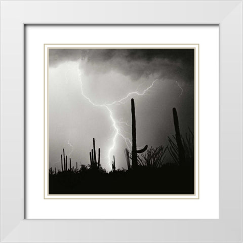 Electric Desert IV - BW White Modern Wood Framed Art Print with Double Matting by Taylor, Douglas