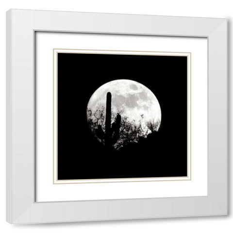 Moonrise in May I White Modern Wood Framed Art Print with Double Matting by Taylor, Douglas