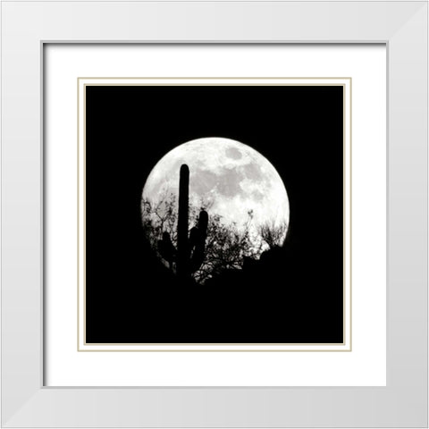 Moonrise in May I White Modern Wood Framed Art Print with Double Matting by Taylor, Douglas