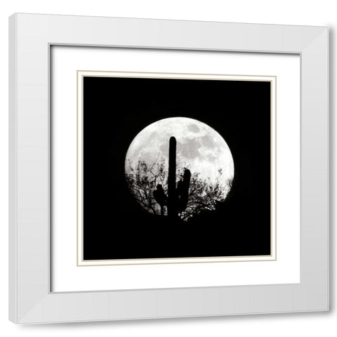 Moonrise in May II White Modern Wood Framed Art Print with Double Matting by Taylor, Douglas