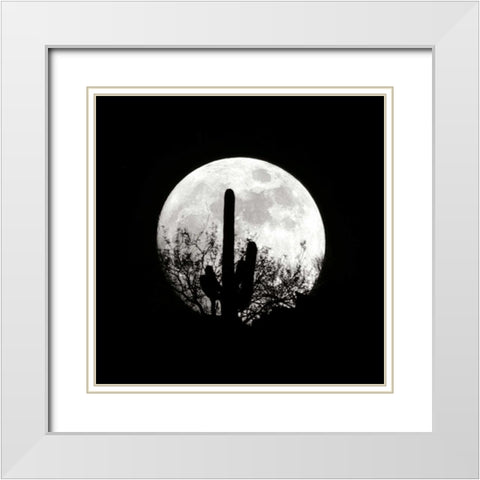 Moonrise in May II White Modern Wood Framed Art Print with Double Matting by Taylor, Douglas
