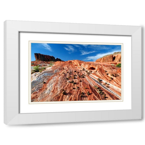 Sands of Time II White Modern Wood Framed Art Print with Double Matting by Taylor, Douglas