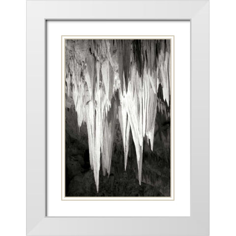 Carlsbad Cavern II BW White Modern Wood Framed Art Print with Double Matting by Taylor, Douglas