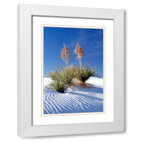 Yuccas and White Sand I White Modern Wood Framed Art Print with Double Matting by Taylor, Douglas