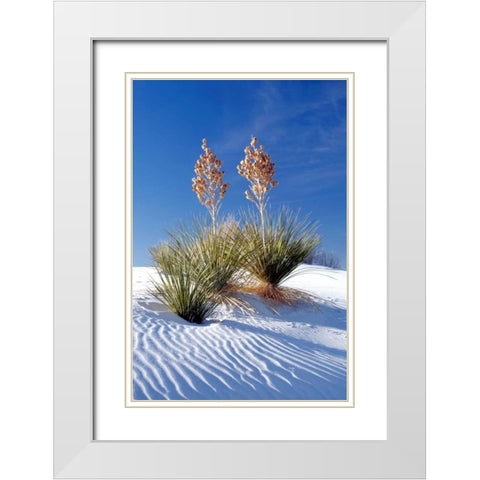 Yuccas and White Sand I White Modern Wood Framed Art Print with Double Matting by Taylor, Douglas