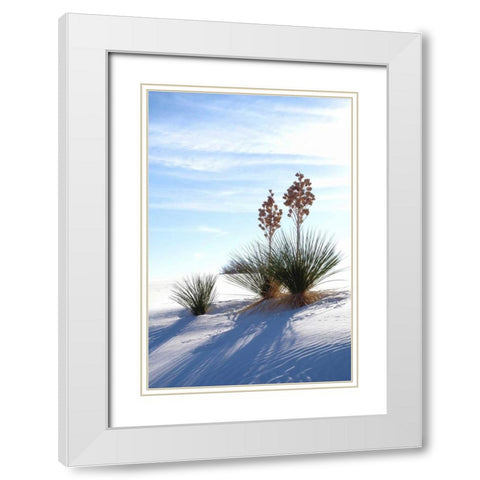 Yuccas and White Sand II White Modern Wood Framed Art Print with Double Matting by Taylor, Douglas